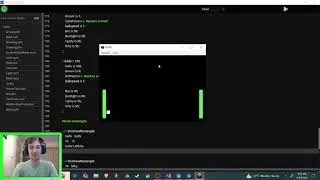 I built and OS to play pong using my own programming language with the IDE  I created in Godot.