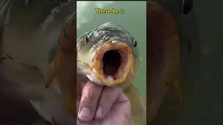 That REACTION - Priceless!! 😂 #shorts #fishing #reaction