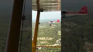 Kitfox J3 Cub formation