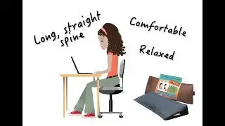 Back Pain & Sciatica Relief Sitting Posture Cushion