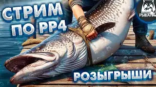 Русская рыбалка 4 🌎Еще немного до...!🐠Фидер Model Two FD420H (26.2кг),премы и гн в рулетке!!🔥