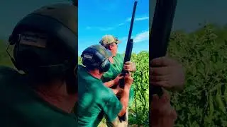JOIN AN UNFORGETTABLE HUNTING EXPERIENCE WITH HP WINGSHOOTING ADVENTURES!!!
