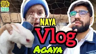 A Real Day in My Life | Daily Vlog | Simple Routine & Real Moments #dailyvlog 