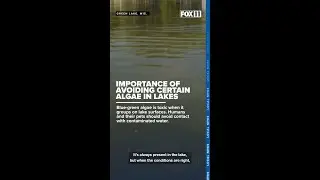 Importance of avoiding certain algae in lakes