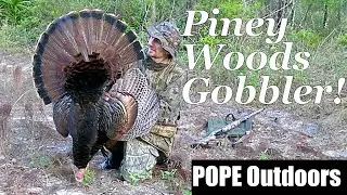 QUICK Public Land Turkey Hunt in Georgia Pines | Gobbler Came in Running & Silent!