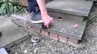 Kid smashes up Dre beats