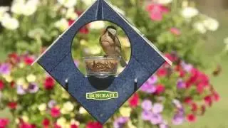Duncraft Sheltered Bluebird Feeder 4674