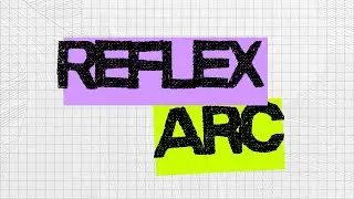The Reflex Arc Explained Step-by-Step (A&P I Nervous System)