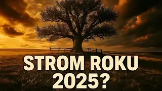 Strom, kter&yacute; střež&iacute; dědinu - hru&scaron;ka z M&iacute;kovic v soutěži Strom roku 2025
