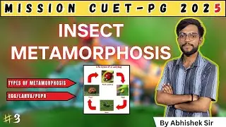Entomology #3 | Insect Metamorphosis | Mission CUET PG 2025 | All Agriculture Exams 2025