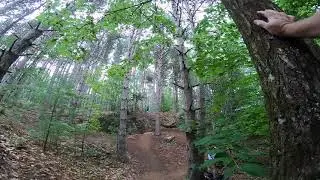 Adirondack Mountain Biking - Hardy Road trails