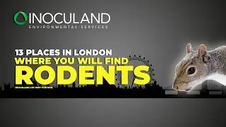 13 places in London where you&rsquo;ll find rodents &middot; Inoculand Ltd Pest Control