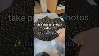 How I Take Product Photos ✨️Sticker Edition✨️ #stickers #productphotos #tutorial #howto #shopsmall