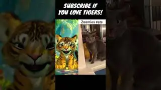 Zoomiessssss