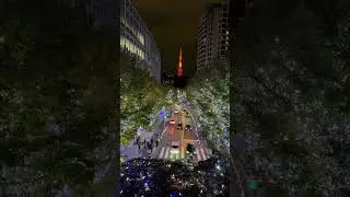 Roppongi night view tokyo tower⁉️😍#Roppongi #tokyotower #japan