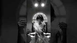 Muse  #weddingblog #свадебноевидео #weddinglights #wedding #свадьба #shorts #weddingshorts #свет