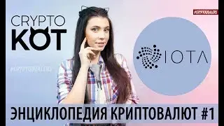 Что такое криптовалюта IOTA? ИОТА без блокчейна и майнеров. Крипто KOT. Cryptodealers cryptocurrency