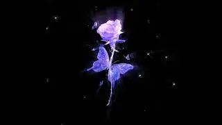 紫菜餅CV.Alone - Want your love ft. Reziii_g (Official Audio)