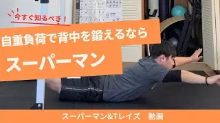【初心者OK】家でできる背中トレーニング