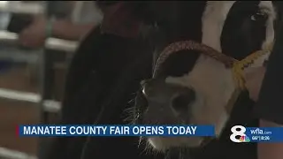 Manatee County Fair kicks off with livestock shows