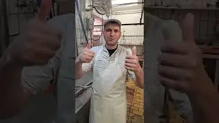 Produktion l&auml;uft auf Vollgas #Handwerk #michl #metzger