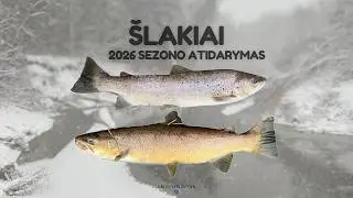 Žieminė šlakių žvejyba