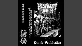Putrid Vaticination