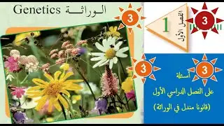 الوراثة المندلية في العلوم الحياتية للصف الثاني عشر ( اللقاء الثالث) ZOOM