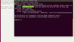 I Will Do LAMP Stack Setup Linux