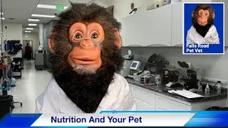 News You Can Use 