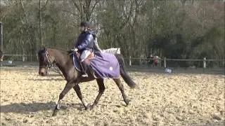Cours de plat avec El&eacute;na et Volcano du 12/03/16