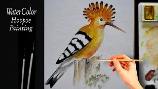 Watercolor Hoopoe Painting | How to Paint A Bird In WaterColor