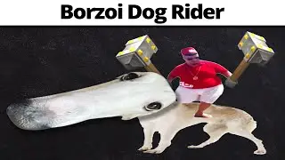 Всадник на борзойской собаке