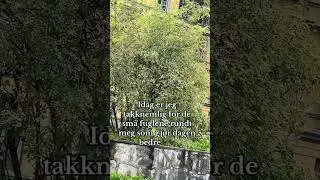 Idag er jeg takknemlig for fugler!