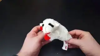 Dog Toy Review - Multipet Lamb Chop 6 Inch - Initial Impressions