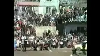 Сюнет село Вълкосел 2