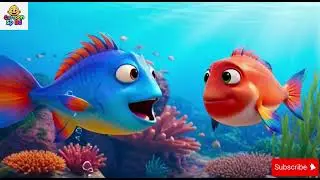 New FUN VIDEOS OF FISH Stop Motion ASMR Colorful Koi Fish Carp, Koi Fish, Catfish, jel fish.
