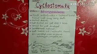Class cyclostomata explained in Hindi
