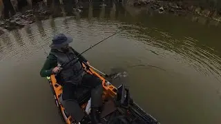4 Big Blue Cats in One Day! Crappie Heads for the Win!  Kayak Fishing Central North Carolina