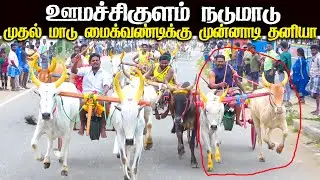 ஊமச்சிகுளம் நடுமாடு 01.02.2026
