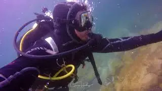 Waikato River Drift Diving