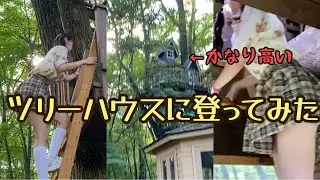 ツリーハウスに登ってみた