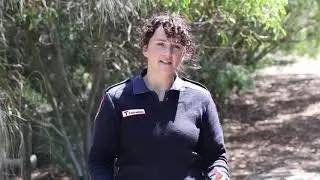 Snake bite first aid