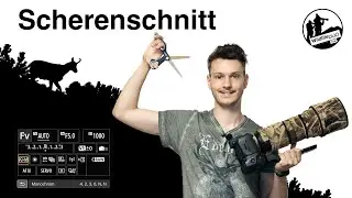 Kreative Fotografie - Wie erstelle ich eine Silhouetten-Aufnahme?