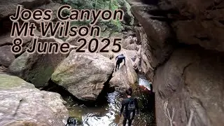 Joes Canyon at Mt Wilson, Blue Mountains, NSW - 8 June 2025.