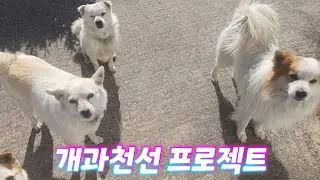 개과천선 1일차