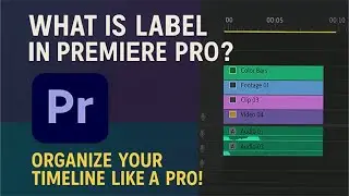 What Is Label in Premiere Pro? | Organize Your Timeline Like a Pro! | class 58 | #PremierePro #Video
