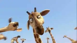 Adventures in Zambezia: Falcon flying into a Giraffe&rsquo;s Butt