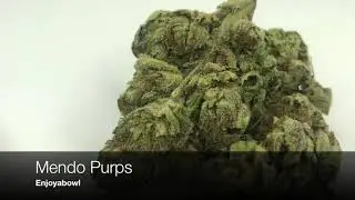 Mendo Purps