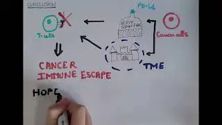 Cancer immune escape